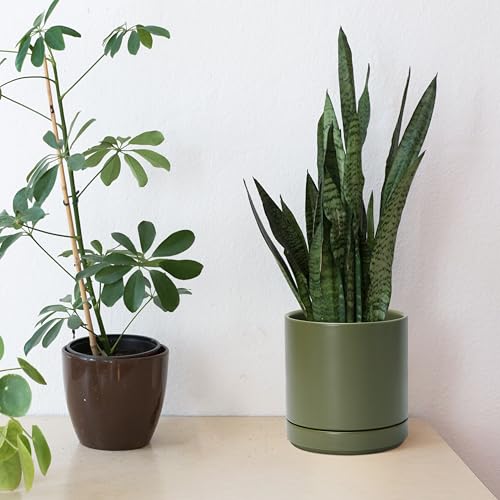 D'vine Dev 6.5 Inch Ceramic Planter Pot, Olive, 94-O-C-J - color: Olive, size: Small