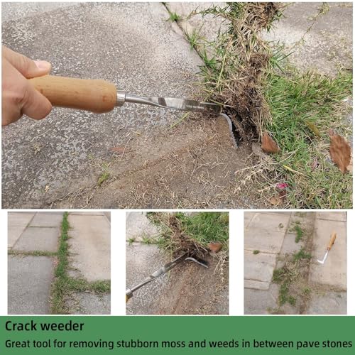 Crack Weeder, Stainless Steel Crevice Weeding Tool, Weeder Tool