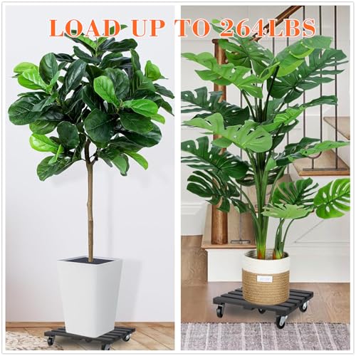 2 Pack Plant Stand with Wheels, 12" Rolling Plant Stand 264 LBS Heavy Duty Wooden Square Plant Caddy with Metal 360° Lockable Caster Wheels for Outdoor Indoor Large Plant Pots, Flower Pot, Patio-Black - size: (12"-black)-2pack