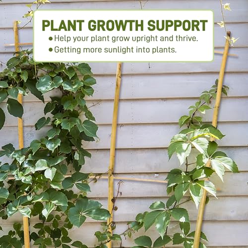 Avalution 10 Pack Bamboo Trellis for Climbing Plants, 3 FT Garden Ladder Trellis for Potted Plants Indoor, Fan-Shaped Small Plant Support Trellis for Houseplants Ivy Hoya Vine Monstera - color: Fan-Shaped, size: 10 PACK-36 inches