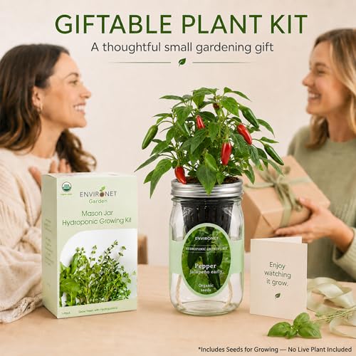 Hydroponic Pepper Growing Kit, Self-Watering Mason Jar Vegetable Starter Kit Indoor, Grow Peppers from Organic Seeds (Jalapeño Early Pepper) - color: Pepper - Jalapeño Early