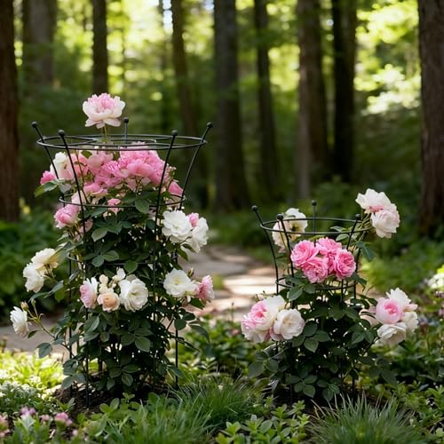 Peony Cages and Supports 2 Pack, Heavy Duty Metal Flower Support Cage, 24"(W) x 36" (H) Trumpet Plant Support for Peonies, Roses, Perennials & Garden Flowers, Rust-Resistant Steel Plant Support Ring - size: Large