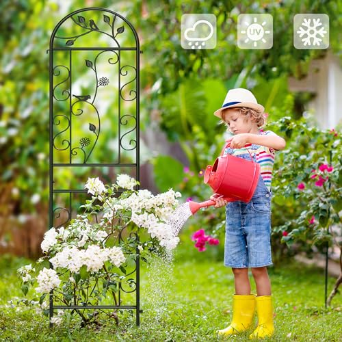 2-Pack 87" x 20" Daisy & Bird Arch Black Metal Garden Trellises - color: 2 Pack 87"- Daisy & Bird Black