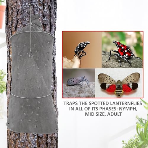 (Gray, 2 Pack) Spotted Lanternfly Mesh House Trap SLF. Simple and Effective Way to Catch Lantern Flies and Nymphs - color: Gray