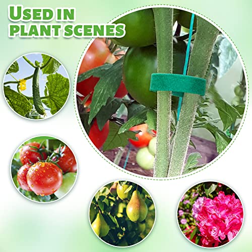 Plant Tape, 6 Roll 196 Ft Green Garden Tape, Adjustable Twist Ties for Plants Support 1/2", Reusable Garden Ties for Climbing Plants, Gardening Tape for Outdoor Indoor Plants - size: 6 Roll,196Ft