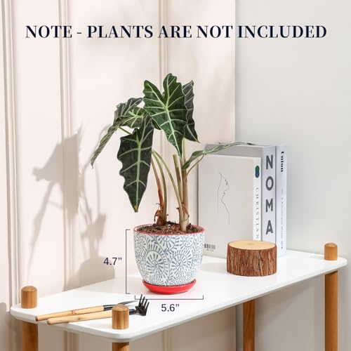 Selamica Ceramic Plant Pots, 5.6 Inch Flower Pots for Indoor Plants, Planters with Drainage Hole and Saucer, Garden Pots for Succulent, Orchid, Home Decor, Set of 4, Assorted Colors - color: Assorted Colors, size: 5.6 inch, set of 4
