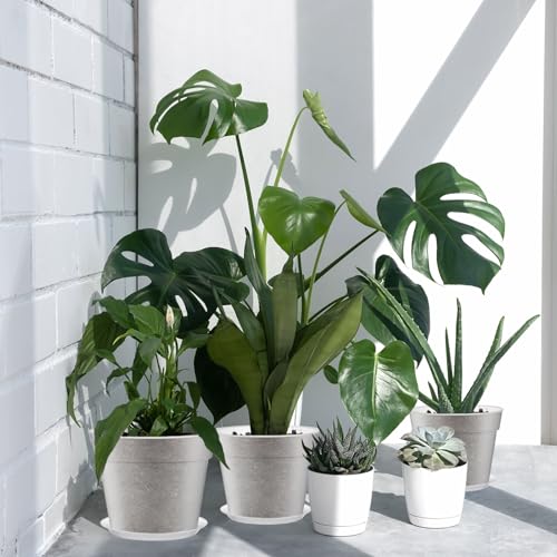 Baderke 3 Pack Clear Nursery Pot,13.65 Inch - size: 13.65 Inches