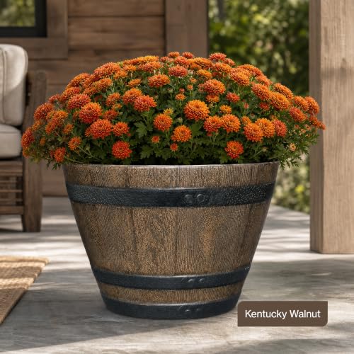 20.5" Jameson Whiskey Barrel with Drainage in Kentucky Walnut - color: Kentucky Walnut, size: 20.5"
