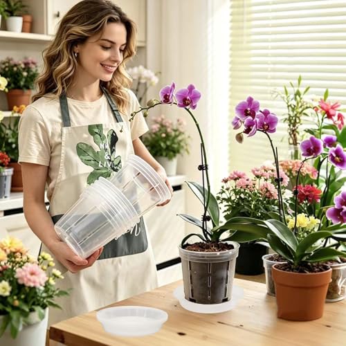Orchid Pot with Saucers-Drainage Holes, 4 Pack 6 Inch Clear Plastic Breathable Slotted Pots for Repotting-Root Control Planter-Plastic Plant Pot for Butterfly Orchid, Hydroponics, Indoor & Outdoor - size: 6” with Saucers 4Pcs