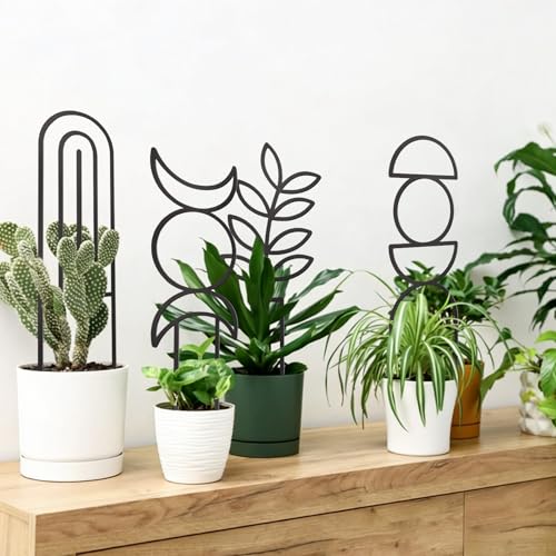 4 Pcs Plant Trellis Indoor Black Small Trellis for Potted Plants - style: Boho