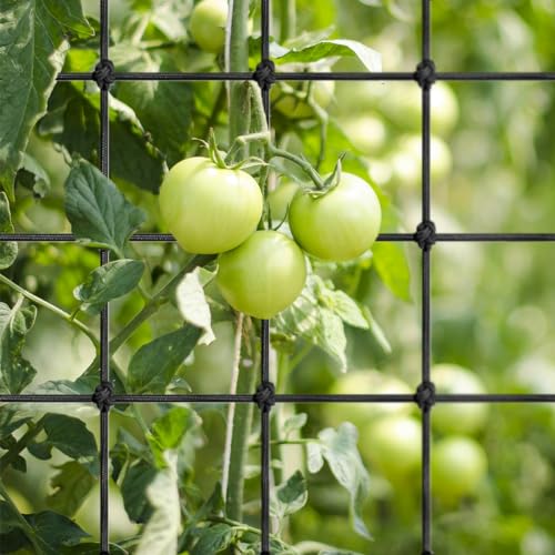 Elastic Netting with Hooks, Heavy-Duty Trellis Support for Indoor Plants, Gardening - size: 4x4ft
