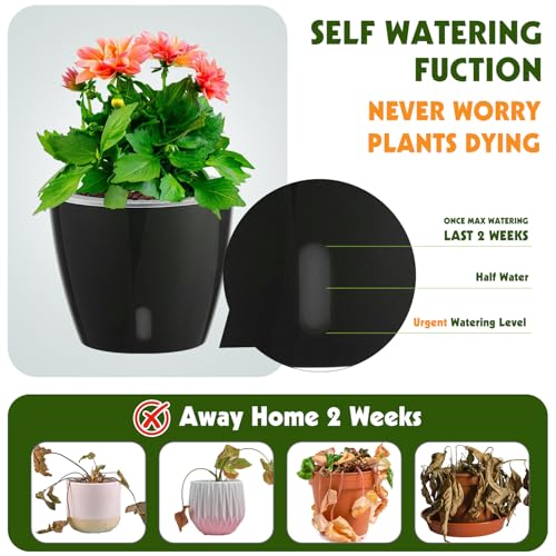Self Watering Pots for Indoor Plants, 6-Pack 5'' Self Watering Planter with Drainage Holes, Small African Violet Pots with Water Indicator, Clear Wick Orchid Pot, Black - color: Black/6 Pack, size: 5"