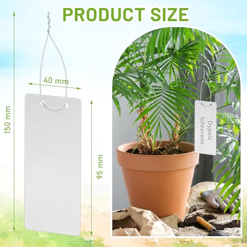 MorningRo 100 Pcs Large Aluminum Plant Labels Bulk with 100 Metal Wires, 3.74 x 1.57 Inch Metal Tree Tags Double Sided Written Plant Pot Tags Markers for Outdoor Garden Identification and Greenhouse