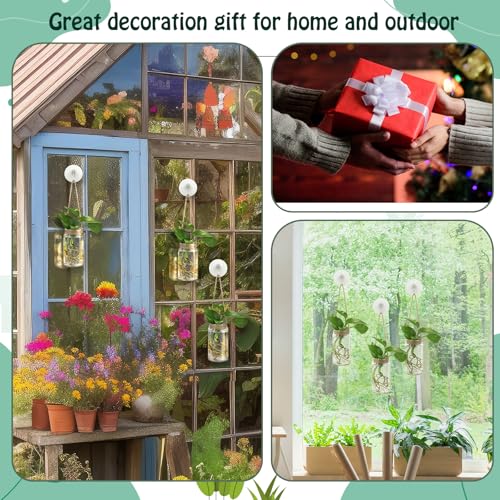 Baderke 9 Set Window Hanging Propagation Stations 3.54'' Plastic Vases - style: Stylish