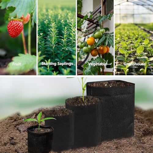 Belit 0.5 Gallon Nursery Growing Bags, 50 Pcs Non-Woven Plant Bag for Gardening, Potato, Flower, Tomato Plant Starts - size: 0.5 Gallon /50Pcs