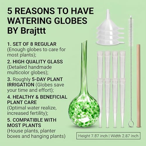 8Pcs Glass Plant Watering Globes,Self Watering Globes,Water Bulbs - color: Set of 8 Medium