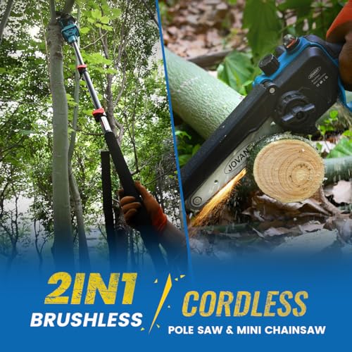 2-in-1 Pole Saw 6 Inch Cordless Handheld Chainsaw, Battery Powered Electric Chain Saw for Tree Trimming Branch Cutting Wood Pruning 15 FT Max Reach 1 * 20V 4A Battery & Charger - color: Deep Blue