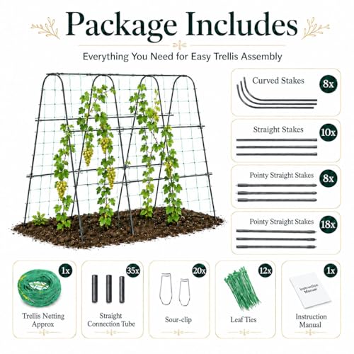 FOLLOOK Cucumber Trellis for Raised Garden Bed, 63x48inch, Black - color: Black, size: 63x48inch