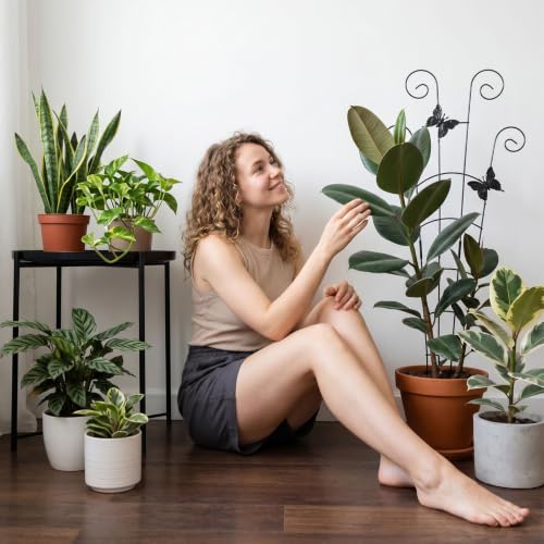 2 Pack 30 in Adjustable Plant Trellis Thickened Rust-Proof Metal Climbing Support Expandable 15-30 Inch Indoor Outdoor Garden Trellis for Pothos Ivy Monstera with Plant Ties - color: Black Butterfly