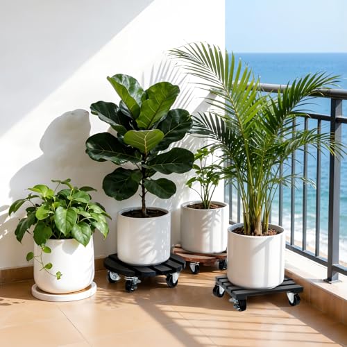 2 Pack Plant Stand with Wheels, Plant Caddies with 360° Lockable Smooth Sliding Wheels Durable Sturdy, Outdoor/Indoor Heavy Duty Rolling Plant Stand for Plant Pot,Flower Pot (11" Black) - color: Black Round, size: 11"