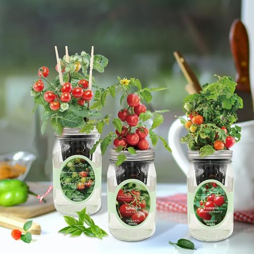 Hydroponic Mason Jar Indoor Garden Organic Seed Starter Kits - Tomato Trio Garden Growing Kits, Gardening Gift (Red Robin Tomato, Cherry Tomato - Tiny Tim, Sweetie Cherry Tomato) - color: Tomato Trio Garden Kits