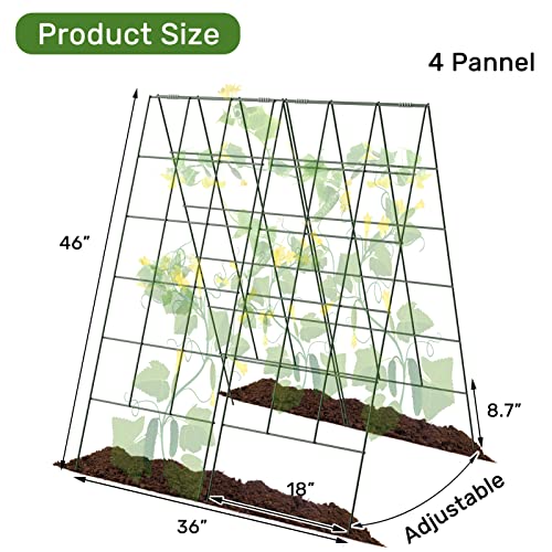 AGTEK 2 Packs 18" x 46" Foldable Cucumber Trellis for Cucumber, Climbing Plants, Vegetable Flowers - size: 36"W x 46"H