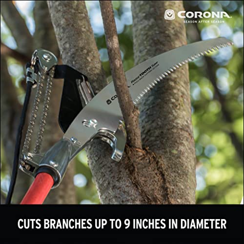 Corona AC 7241D Razor Tooth Tree Pruner Saw Blade for TP 6870, TP 6850, TP 6830, TP 6780, TP 6570 and AC9000 Steel 13 inches (Pack of 2) - size: 13 inches (Pack of 2)