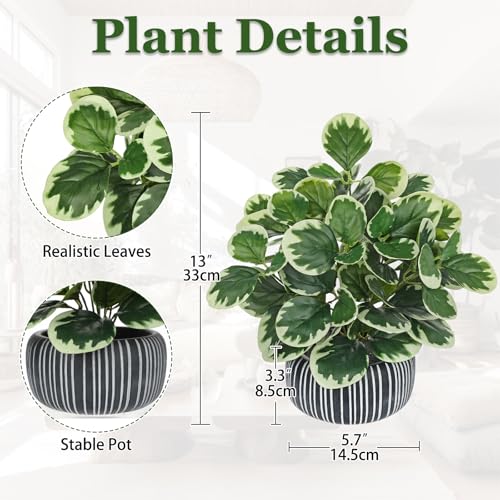 Villa Como 13" Artificial Plant Indoor Small Fake Plant in Oval Ceramic Pot - color: #Green #1