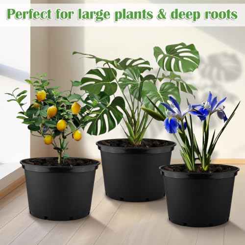 RooTrimmer 10 Gallon Plastic Nursery Pots, 16 Inch Round Plant Pots with Drainage Holes, 5 Pack Large Garden Flower Pots for Outdoor Indoor Plants, Gardening Gifts for Women, Black - size: 10Gallon-5P-Black