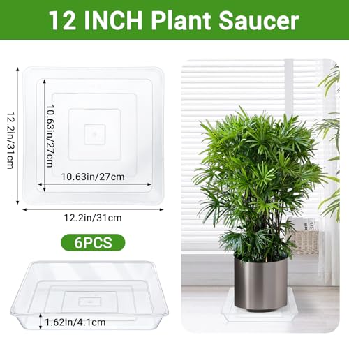 Greaner Clear Plant Plates to Catch Water, 12 Inch Durable Thick Saucer for Flower Pot, Square Plant Saucer Plant Trays for Pots, Flower Pot Saucers to Catch Water Drip Tray(6 Packs) - color: Clear, size: 12"