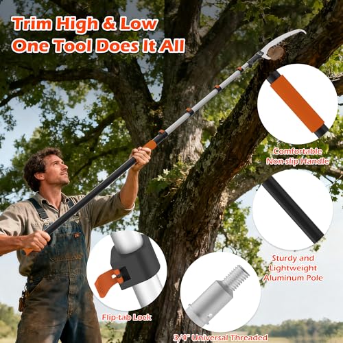 30FT Reach Pole Saws for Tree Trimming, Manual Pole Saw with 5-24FT Telescoping Extension Pole, Pruning Saw with 17" 3X Detachable Saw, Branches Pruner for Garden, Palms & Shrubs Yard Maintenance - size: 5-24FT