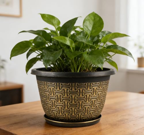 Nooulap 8 Inch Plant Pots, 4 Pack Flower Pot Outdoor - color: Gold 4-pack, size: 8 inch