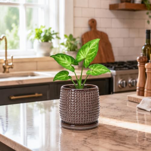 D'vine Dev Beaded Ceramic Pot with Saucer, 4 in, Stone Taupe, 27-C-Z-L - color: Stone Taupe, size: 4.3 Inch