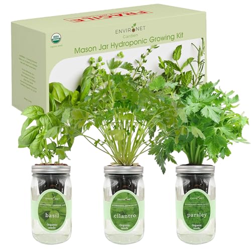 Hydroponic Herb Growing Kit Set, Self-Watering Mason Jar Herb Garden Starter Kit Indoor, Windowsill Herbs Garden, Grow Your Own Herbs from Organic Seeds (Basil, Cilantro and Parsley) - color: Basil, Cilantro & Parsley