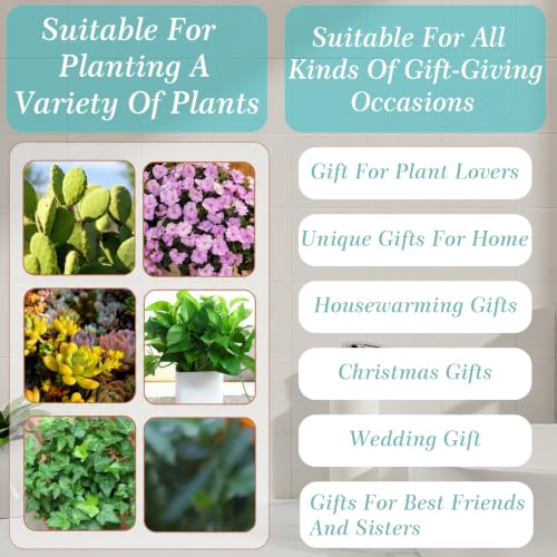 Heart-Shaped Wall Planter, Self-Watering Pot for Indoor Plants - color: Red