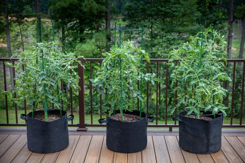 Gardzen 5 Gallon Grow Bags 6-Pack - size: 5 Gallons