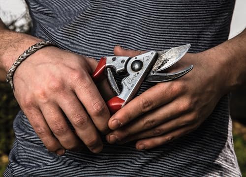 Felco F8 Pruning Shears โ 8.3" Swiss-Made Garden Clippers with 1" Cutting Capacity for Ergonomic Comfort | Hand Pruners for Gardening | Garden Tool Cutter with Precision Bypass Blade, Aluminum Handles - size: F8 Large Ergo