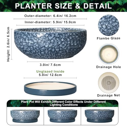 Ceramic Succulent Pots, 6 Inch Bonsai Tree Pot with Tray, Scale Blue - color: Scale Blue, size: 6 Inch