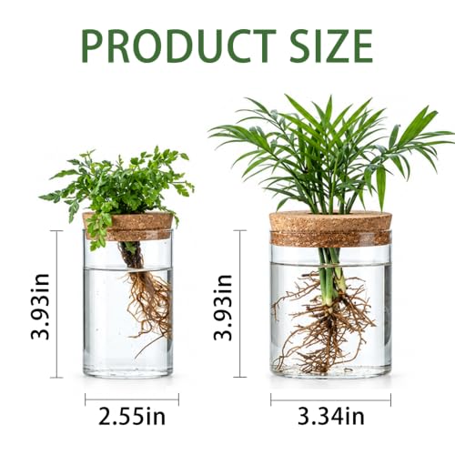 Plant Propagation Stations for Plants, 2 Size Glass Propagation Vases for Propagating Hydroponic Indoor Home Office Decor, Tabletop Glass Planter Gift for Plant Lovers (6)