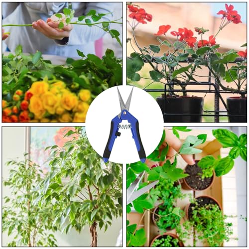 15 Pack 6.5 Inch Garden Pruning Scissors, Hand Pruner with Stainless Steel Blades, Sharp Point Gardening Shears Cutter, Gardening Pruning Shear, Supplies & Accessories(Blue)