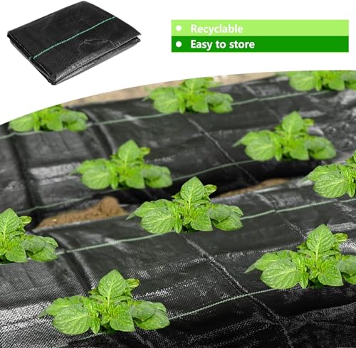 CODREE 2 Pcs Heavy-Duty Garden Weed Control Barrier - 33 x 3.3 Ft Landscape Fabric with Planting Holes - Weed Block Gardening Mat with 16 Ground Nails - color: 2pcs-33x3.3ft