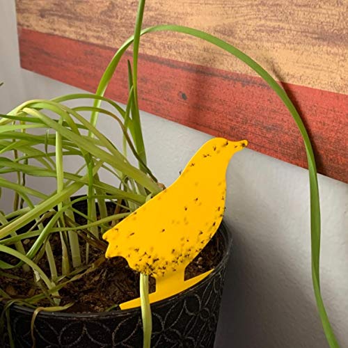 Garsum Fruit Fly Trap 18 Pcs Yellow Sticky Fungus Gnat Killer for Indoor and Outdoor Plant Insect Catcher for White Flies,Mosquitos,Fungus Gnats,Flying Insects - color: 18 PCS-B