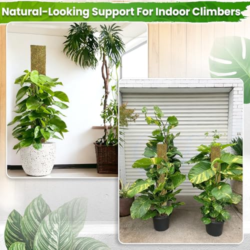 DUSPRO 59" Flat Mesh Moss Pole for Big Climbing Plants, (1pc., 59'') - size: 59" FLAT MOSS POLE