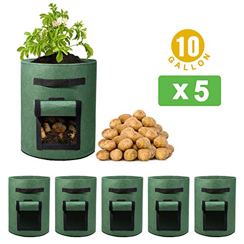 Delxo 5 Pack 10 Gallon Potato Grow Bags, Garden Planting Growing Bag with Flap, Double Layer Breathable Nonwoven Cloth for Potatoes/Planter/Vegetable/Tomato Fabric Pots with Handles Green - size: 10 Gallon