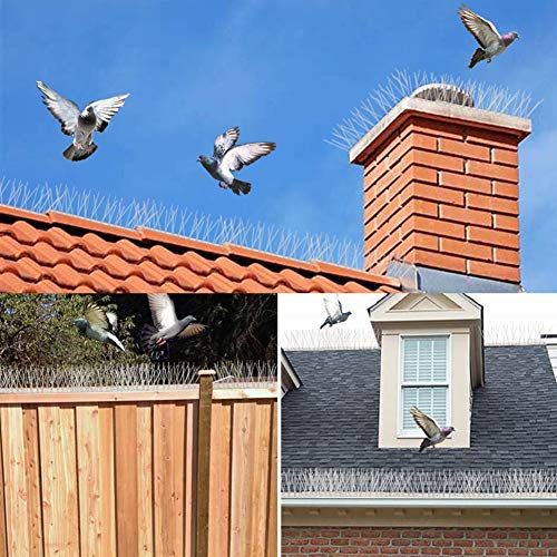 Bird Spikes, 43 Feet - size: 43Feet(40pcs)