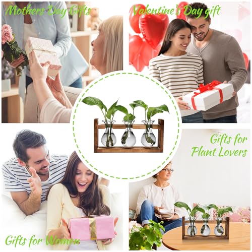 Plant Propagation Station Plant Terrarium Unique Birthday Gifts for Women - color: Gray