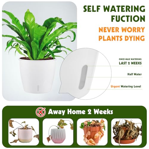Self-Watering Pots for Indoor Plants, 12-Pack 5'' Self Watering Planter with Drainage Holes, Small African Violet Pots with Water Indicator, Clear Wick Pot, White - color: White/12 Pack, size: 5"