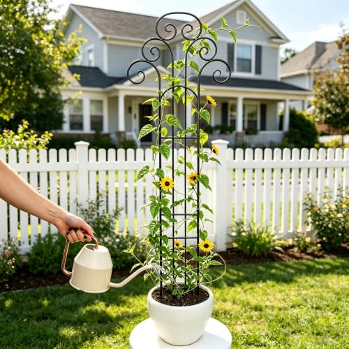 Metal Indoor Plant Trellis for Climbing Plants, 47" Rose & Clematis Support - size: 47"H