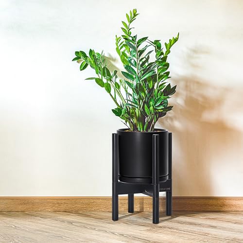 D'vine Dev Ceramic Pot with Ebony Wood Stand, Black, 8 in, 55-B-M-2 - color: Black Pot + Ebony Stand, size: 8 Inch