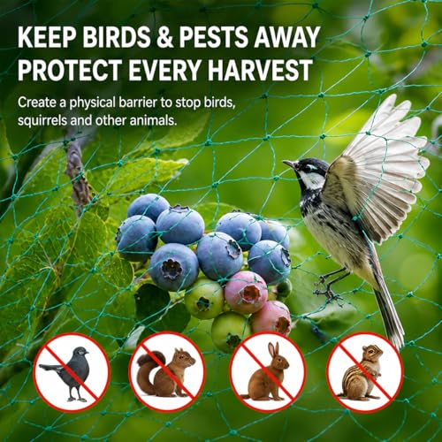 Garden Netting, 13 x 20 FT Bird Netting for Garden Plant Protection, Reusable Fine Mesh for Fruit Trees, Vegetable Plants, Blueberry Bushes, Raised Beds, Chicken Coop (13x20ft) - size: 13.0X20FT